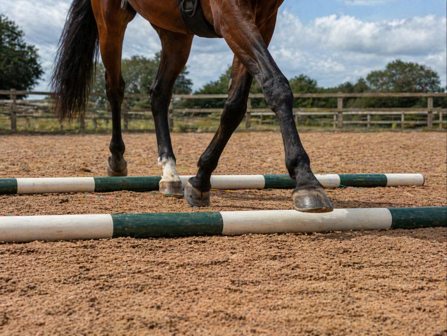Equine Arena - Pole Work