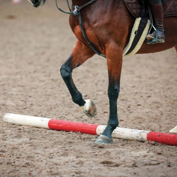 A horse in motion, with a focus on its legs and feet, as it jumps over a red and white pole on a dirt surface, indicating an equestrian activity.