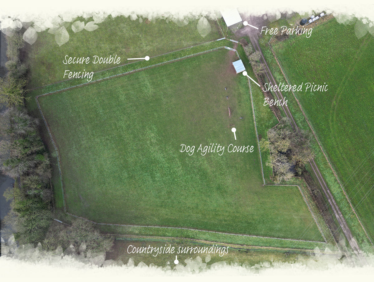 Tuppenhurst Dog Field - Secure Dog Walking Field – Tuppenhurst Farm