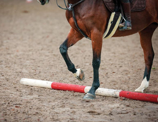 Pole Work with Gemma Hartley (13th April)